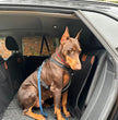 COZYPILOT™ Premium Hard-Bottom Backseat Extender (Supports up to 181 kg)